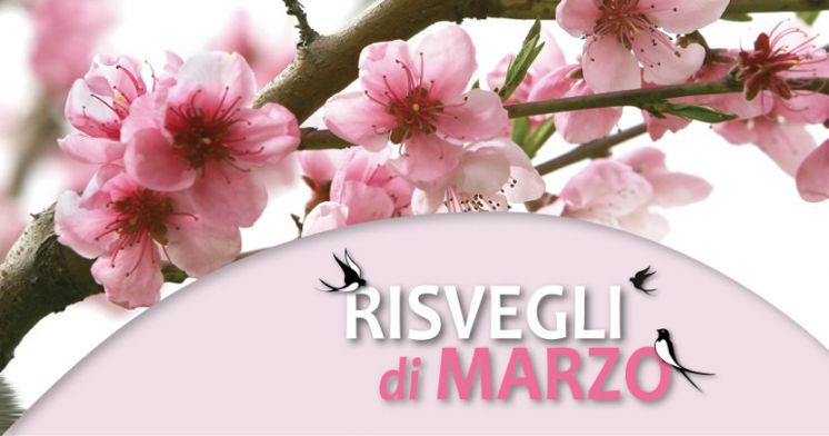 Risvegli di Marzo