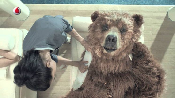 Anche l'Orso Bruno sceglie Victoria Regeneration SPA....